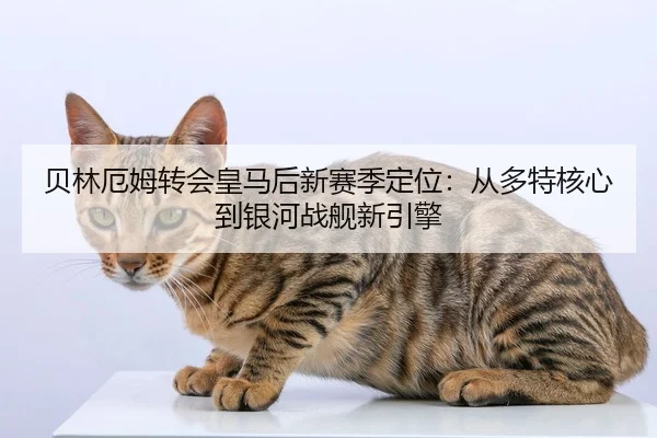 贝林厄姆转会皇马后新赛季定位：从多特核心到银河战舰新引擎