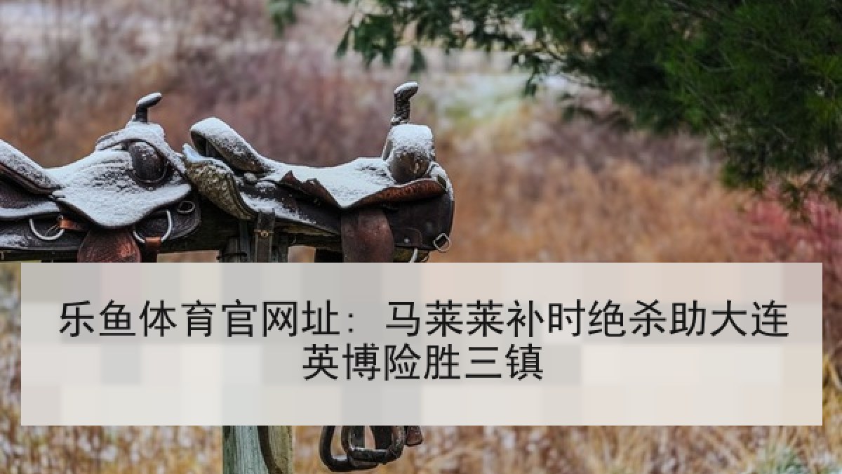 乐鱼体育官网址: 马莱莱补时绝杀助大连英博险胜三镇 乐鱼体育官网址: 马莱莱补时绝杀助大连英博险胜三镇