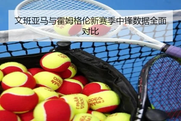 文班亚马与霍姆格伦新赛季中锋数据全面对比