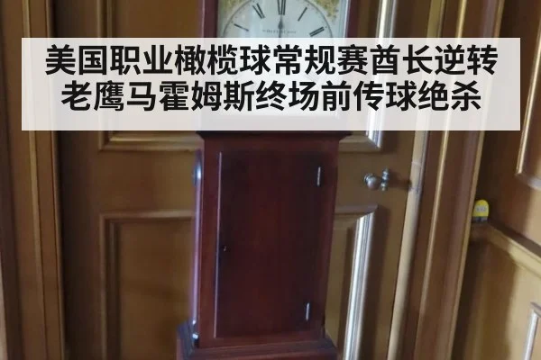 美国职业橄榄球常规赛酋长逆转老鹰马霍姆斯终场前传球绝杀